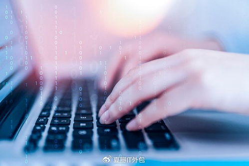 軟件開發(fā)板塊震蕩走強，IT運維外包迎發(fā)展新機遇