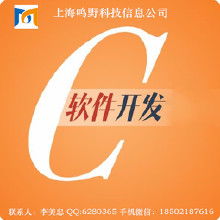 軟件定制、IT外包 服務(wù)解析、價格因素與廠商選擇指南